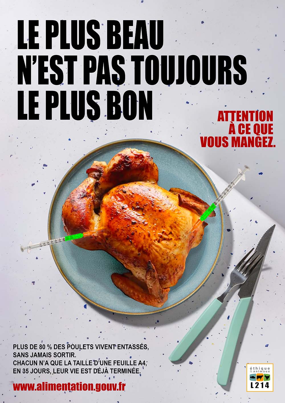 AFFICHE1-2